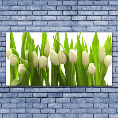 Tableaux sur toile Tulipes floral blanc vert