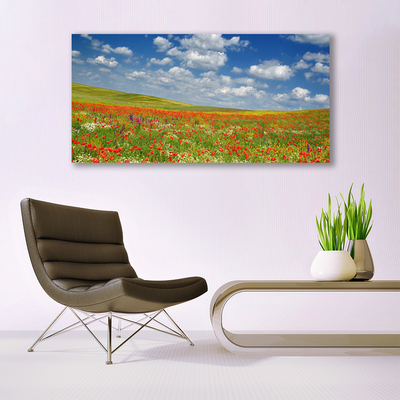 Tableaux sur toile Fleurs prairie paysage rouge blanc vert