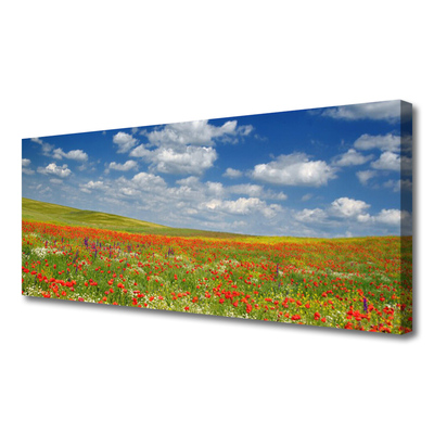 Tableaux sur toile Fleurs prairie paysage rouge blanc vert
