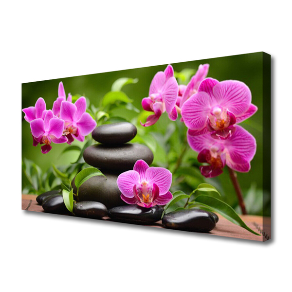 Tableaux sur toile Pierres fleurs art rose noir