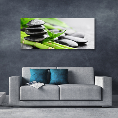 Tableaux sur toile Pierres bambou floral vert noir