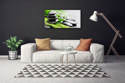 Tableaux sur toile Pierres bambou floral vert noir