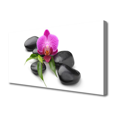 Tableaux sur toile Pierres fleurs art rose noir