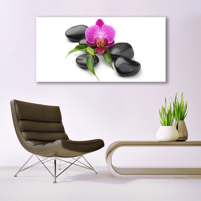 Tableaux sur toile Pierres fleurs art rose noir