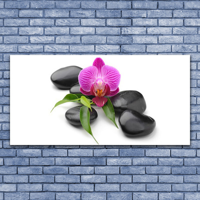 Tableaux sur toile Pierres fleurs art rose noir