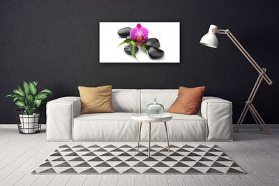 Tableaux sur toile Pierres fleurs art rose noir