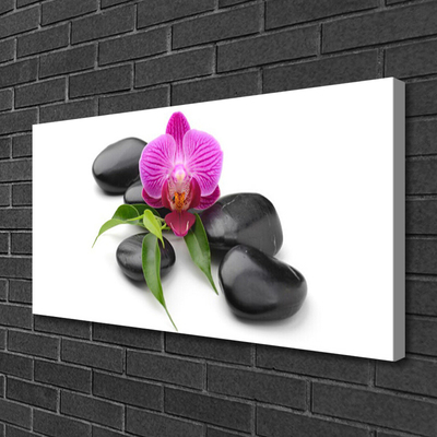 Tableaux sur toile Pierres fleurs art rose noir