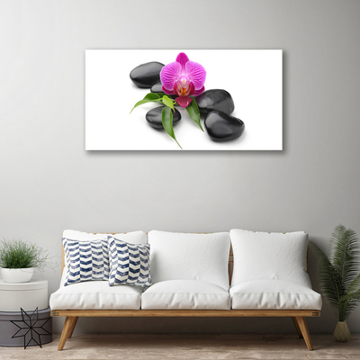 Tableaux sur toile Pierres fleurs art rose noir