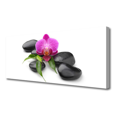 Tableaux sur toile Pierres fleurs art rose noir