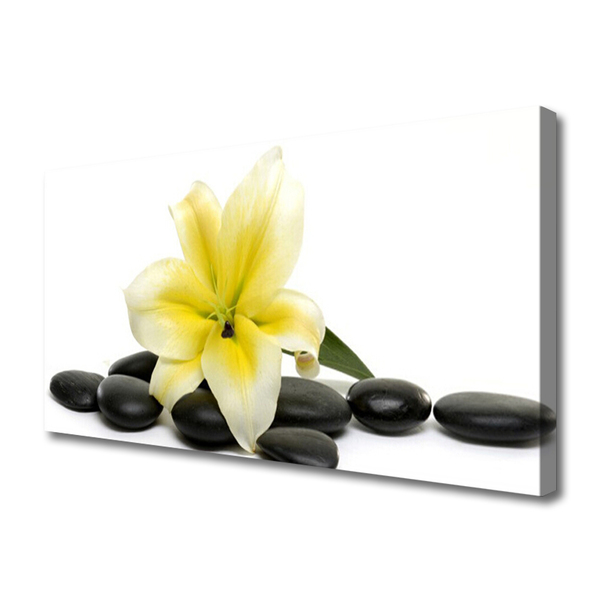 Tableaux sur toile Fleurs pierres art blanc vert noir