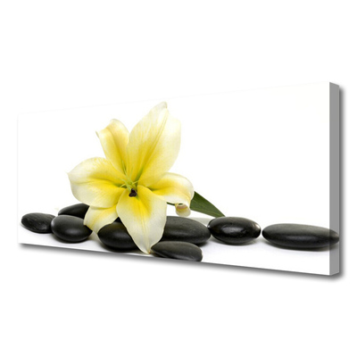 Tableaux sur toile Fleurs pierres art blanc vert noir