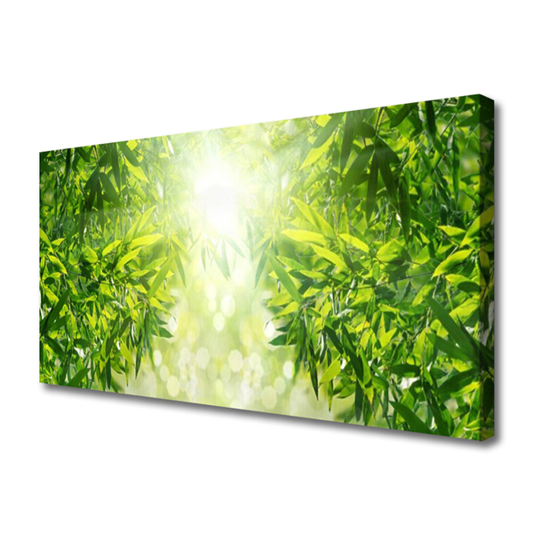 Tableaux sur toile Feuilles nature vert