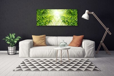 Tableaux sur toile Feuilles nature vert