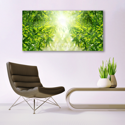 Tableaux sur toile Feuilles nature vert