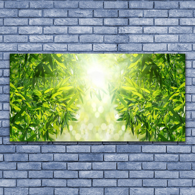 Tableaux sur toile Feuilles nature vert