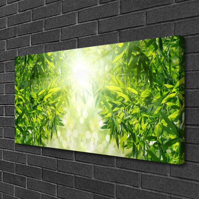 Tableaux sur toile Feuilles nature vert