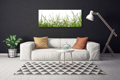 Tableaux sur toile Marguerite herbe nature vert blanc jaune