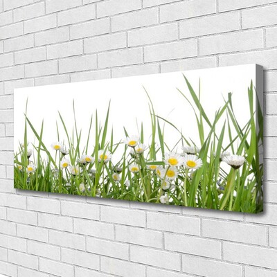 Tableaux sur toile Marguerite herbe nature vert blanc jaune