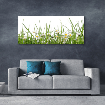 Tableaux sur toile Marguerite herbe nature vert blanc jaune