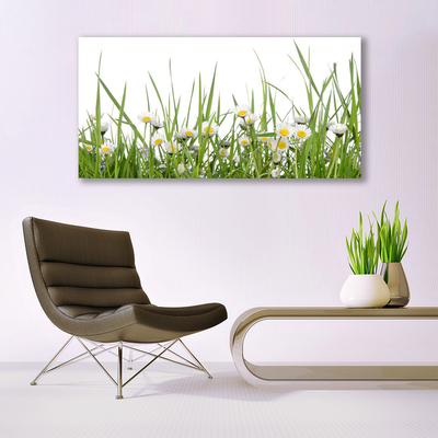 Tableaux sur toile Marguerite herbe nature vert blanc jaune