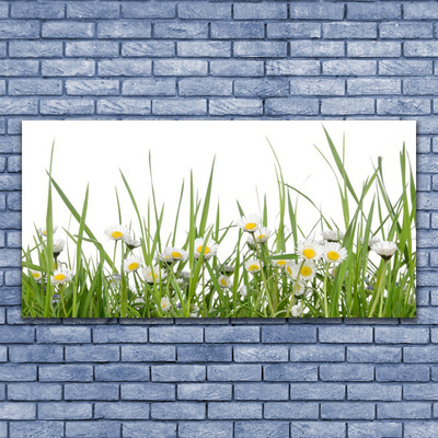 Tableaux sur toile Marguerite herbe nature vert blanc jaune