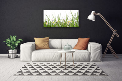 Tableaux sur toile Marguerite herbe nature vert blanc jaune