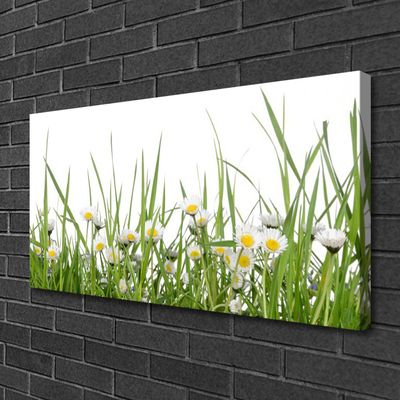 Tableaux sur toile Marguerite herbe nature vert blanc jaune