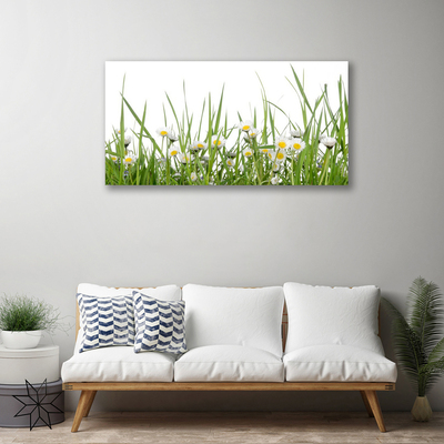 Tableaux sur toile Marguerite herbe nature vert blanc jaune