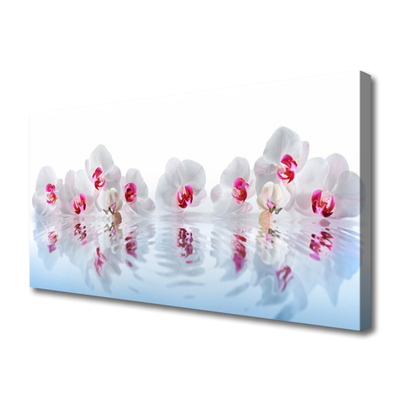 Tableaux sur toile Fleurs art blanc rouge