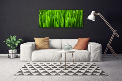 Tableaux sur toile Herbe nature vert