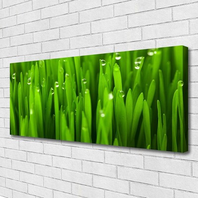 Tableaux sur toile Herbe nature vert