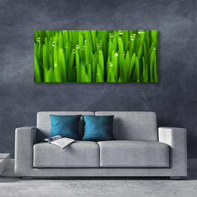 Tableaux sur toile Herbe nature vert