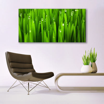 Tableaux sur toile Herbe nature vert