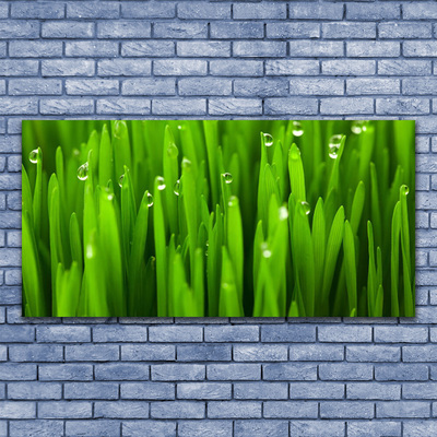 Tableaux sur toile Herbe nature vert