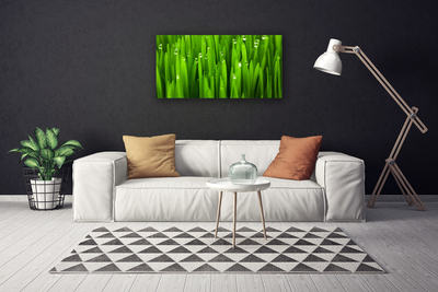 Tableaux sur toile Herbe nature vert