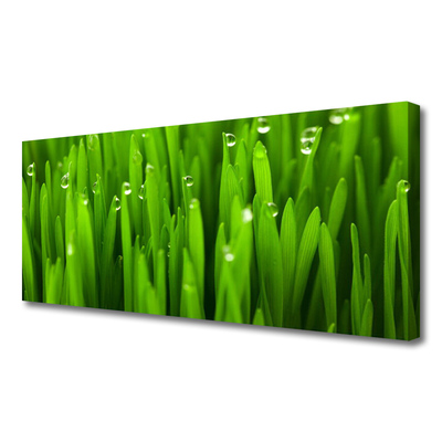 Tableaux sur toile Herbe nature vert