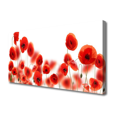 Tableaux sur toile Coquelicots floral rouge vert