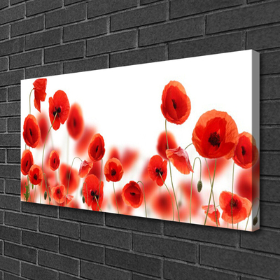 Tableaux sur toile Coquelicots floral rouge vert