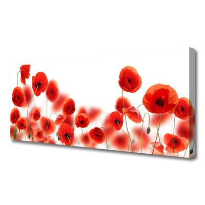 Tableaux sur toile Coquelicots floral rouge vert