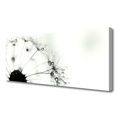 Tableaux sur toile Pissenlit floral gris noir