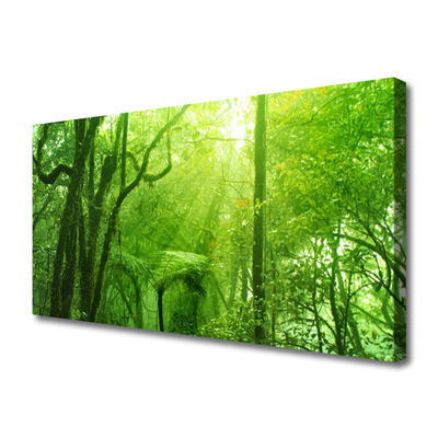 Tableaux sur toile Arbres nature brun vert