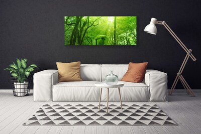 Tableaux sur toile Arbres nature brun vert