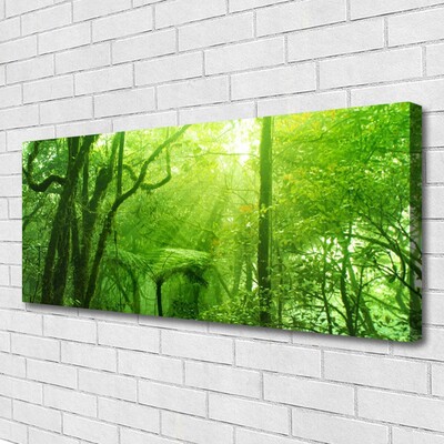 Tableaux sur toile Arbres nature brun vert