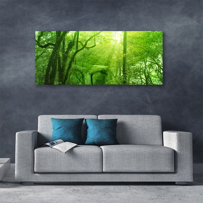 Tableaux sur toile Arbres nature brun vert