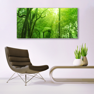 Tableaux sur toile Arbres nature brun vert