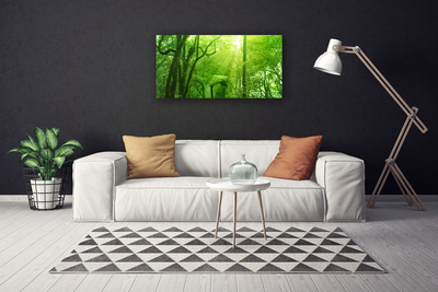 Tableaux sur toile Arbres nature brun vert