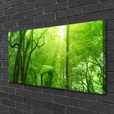 Tableaux sur toile Arbres nature brun vert