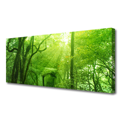 Tableaux sur toile Arbres nature brun vert