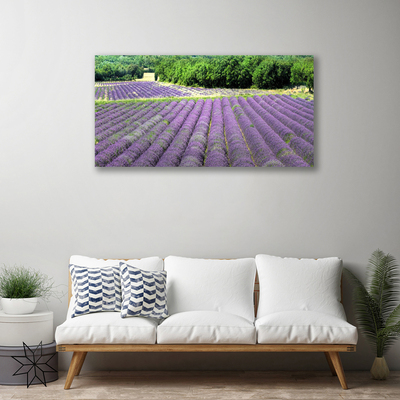 Tableaux sur toile Fleurs prairie nature violet vert