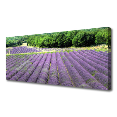 Tableaux sur toile Fleurs prairie nature violet vert